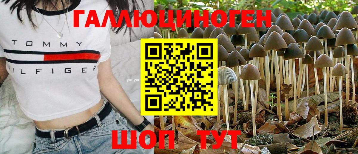 Псилоцибиновые грибы Psilocybine cubensis Кингисепп