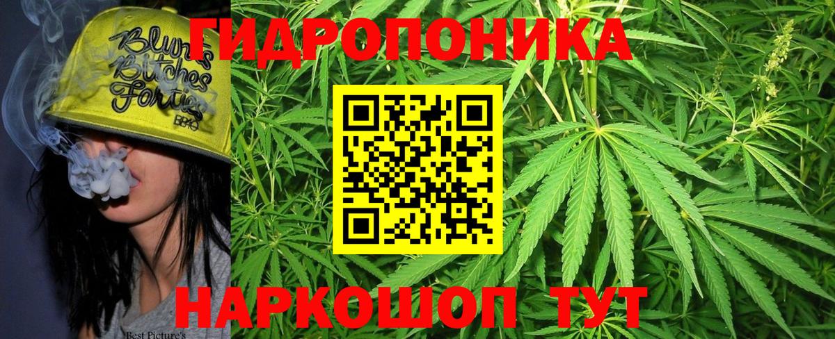 Кингисепп  Каннабис семена  Вход с VPN  Шишки марихуана план  МАРИХУАНА конопля 